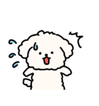 ふわふわ犬もこ太の毎日使えるスタンプ（個別スタンプ：15）