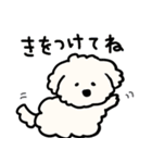ふわふわ犬もこ太の毎日使えるスタンプ（個別スタンプ：20）