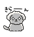 ふわふわ犬もこ太の毎日使えるスタンプ（個別スタンプ：22）