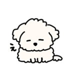 ふわふわ犬もこ太の毎日使えるスタンプ（個別スタンプ：24）