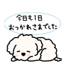 ふわふわ犬もこ太の毎日使えるスタンプ（個別スタンプ：26）