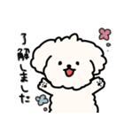 ふわふわ犬もこ太の毎日使えるスタンプ（個別スタンプ：27）