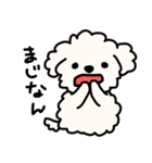 ふわふわ犬もこ太の毎日使えるスタンプ（個別スタンプ：32）