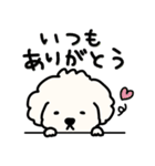 ふわふわ犬もこ太の毎日使えるスタンプ（個別スタンプ：33）