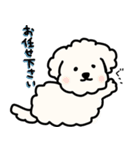 ふわふわ犬もこ太の毎日使えるスタンプ（個別スタンプ：34）