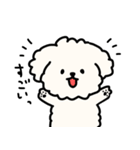 ふわふわ犬もこ太の毎日使えるスタンプ（個別スタンプ：37）
