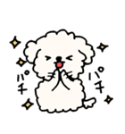 ふわふわ犬もこ太の毎日使えるスタンプ（個別スタンプ：38）