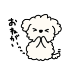 ふわふわ犬もこ太の毎日使えるスタンプ（個別スタンプ：39）