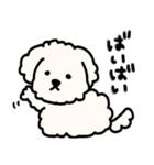 ふわふわ犬もこ太の毎日使えるスタンプ（個別スタンプ：40）