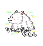 ゲームするポメ犬（個別スタンプ：13）