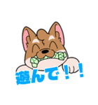 シバイヌ小鉄の日常スタンプ Vol.2（個別スタンプ：2）