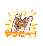 シバイヌ小鉄の日常スタンプ Vol.2（個別スタンプ：4）