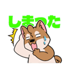 シバイヌ小鉄の日常スタンプ Vol.2（個別スタンプ：5）