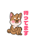 シバイヌ小鉄の日常スタンプ Vol.2（個別スタンプ：10）