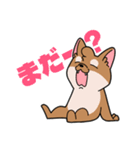 シバイヌ小鉄の日常スタンプ Vol.2（個別スタンプ：11）