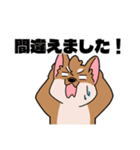 シバイヌ小鉄の日常スタンプ Vol.2（個別スタンプ：12）