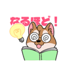 シバイヌ小鉄の日常スタンプ Vol.2（個別スタンプ：13）