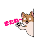 シバイヌ小鉄の日常スタンプ Vol.2（個別スタンプ：16）