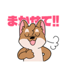 シバイヌ小鉄の日常スタンプ Vol.2（個別スタンプ：18）