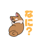 シバイヌ小鉄の日常スタンプ Vol.2（個別スタンプ：25）