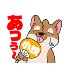 シバイヌ小鉄の日常スタンプ Vol.2（個別スタンプ：27）