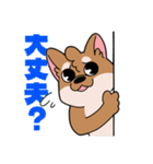 シバイヌ小鉄の日常スタンプ Vol.2（個別スタンプ：30）