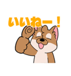 シバイヌ小鉄の日常スタンプ Vol.2（個別スタンプ：39）