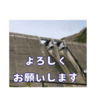 ダム好きの日常用スタンプ（個別スタンプ：5）