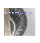 ダム好きの日常用スタンプ（個別スタンプ：7）