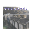 ダム好きの日常用スタンプ（個別スタンプ：9）