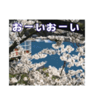ダム好きの日常用スタンプ（個別スタンプ：28）
