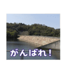 ダム好きの日常用スタンプ（個別スタンプ：33）