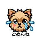 ヨークシャテリアちゃん1（個別スタンプ：1）