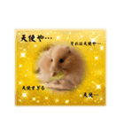 へちゃむくれのハムちゃん（個別スタンプ：5）