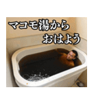 ⚫マコモ湯構文【面白い/煽り/煽る/あおる】（個別スタンプ：1）