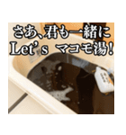 ⚫マコモ湯構文【面白い/煽り/煽る/あおる】（個別スタンプ：32）