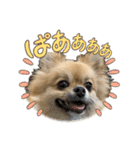 毎日ポテチ第4段（個別スタンプ：3）