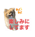 毎日ポテチ第4段（個別スタンプ：7）