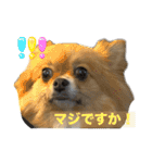 毎日ポテチ第4段（個別スタンプ：8）