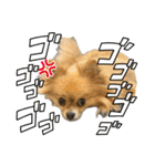毎日ポテチ第4段（個別スタンプ：25）