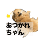 毎日ポテチ第4段（個別スタンプ：26）