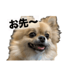 毎日ポテチ第4段（個別スタンプ：27）