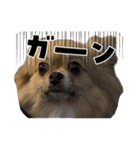 毎日ポテチ第4段（個別スタンプ：30）