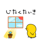 ひよこのちっぴ 6 [日常会話]（個別スタンプ：1）