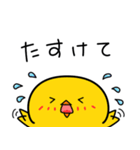 ひよこのちっぴ 6 [日常会話]（個別スタンプ：14）