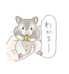 みんなのげっ歯類ちゃんたち（個別スタンプ：16）