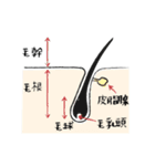 眉山まつ子のアイリストスタンプ（個別スタンプ：40）