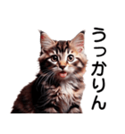 可愛い猫の猫語でおしゃべり！（個別スタンプ：7）