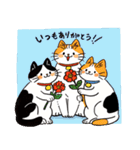 ゆるっとねこズ（個別スタンプ：34）