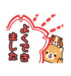 かわいい♪ほめ言葉色々 #柴犬クッキー10（個別スタンプ：1）